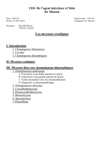 P2-UE8-Masson-Mycoses exotiques (pdf)