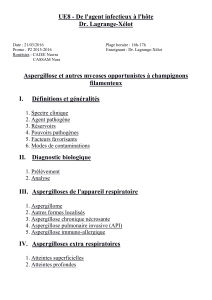 UE8-Lagrange-Aspergillose et autres mycoses opportunistes à champignon filamenteux (pdf)