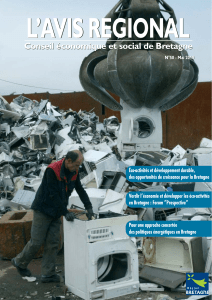 L’AVIS REGIONAL Conseil économique et social de Bretagne
