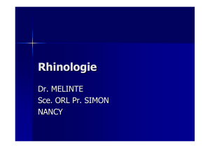 Rhinologie Dr. MELINTE Sce . ORL Pr. SIMON