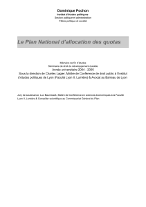 mémoire en texte intégral version pdf (à télécharger)