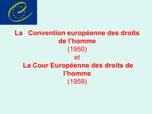 la_cour_europeenne_des_droitshomme.pdf
