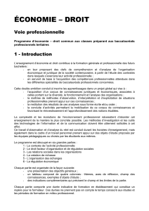 Programme_eco-droit_LP-V21post_CSE_du_11_mars_2010.doc