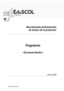 Programme  Baccalauréats professionnels du secteur de la production