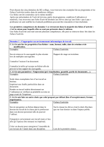 CompetenceB2i(Sc)v2.doc