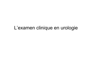 L’examen clinique en urologie