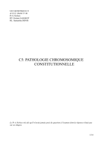 ue5 - cours5 - pathologie chromosomique constitutionnelle 1