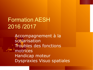 Formation AESH 2016 /2017