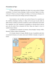Présentation du Niger Géographie