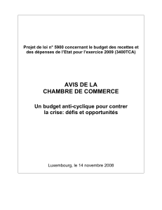 Projet de loi n° 5900 concernant le budget des recettes... des dépenses de l’Etat pour l’exercice 2009 (3400TCA)