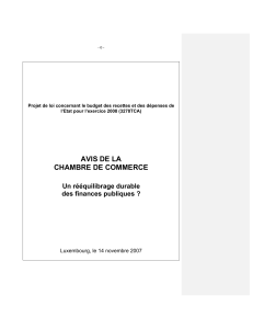 2007_11_19_Avis_du_budget_de_letat_2008.pdf