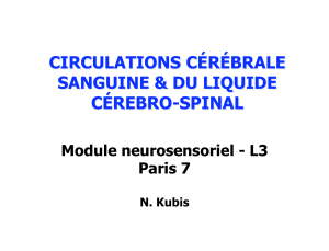 CIRCULATIONS SANGUINE &amp; DU LIQUIDE CÉREBRO-SPINAL Module neurosensoriel - L3