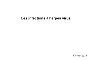 Les infections à herpès virus  Février 2013