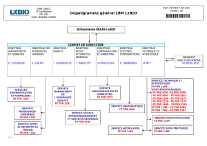 Organigramme général LBM LxBIO Actionnaires SELAS LxBIO COMITE DE DIRECTION
