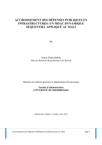 ACCROISSEMENT DES D&Eacute;PENSES PUBLIQUES EN INFRASTRUCTURES: UN MEGC DYNAMIQUE
