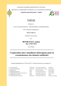 Cooperation-entre-classifieurs-heterogenes-pour-la-reconnaissance-des-donnees-medicales.pdf
