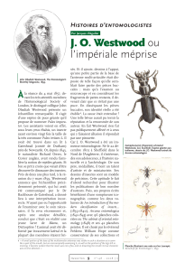 Histoires d’entomologistes
