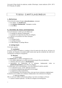 Tissu cartilagineux 16-17 (PDF, 224.05 Ko)