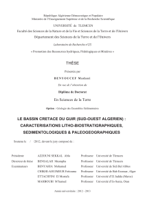LE-BASSIN-CRETACE.pdf