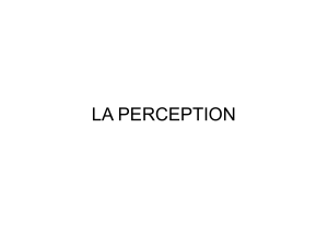 La perception