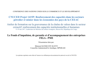 Le Fonds d’impulsion, de garantie et d’accompagnement des entreprises FIGA - PME, Manassé KANQUAYE KANYI, Conseiller Administratif et Juridique, MPMEASI