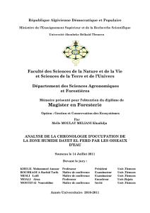 mag-moulay.pdf