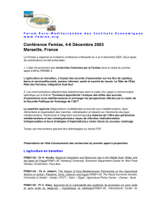 FEMISE-conf-Agenda_2003_FR