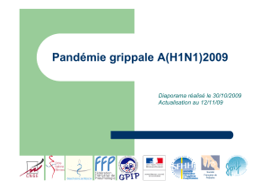 Pandémie grippale A(H1N1)2009 Diaporama réalisé le 30/10/2009 Actualisation au 12/11/09 Société
