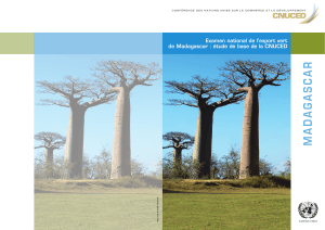 Examen national de l’export vert de Madagascar : étude de base de la CNUCED