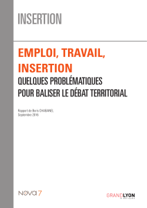 insertion emploi, travail, quelques problématiques pour baliser le débat territorial