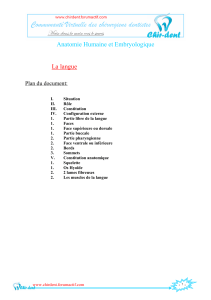 Anatomie Humaine et Embryologique La langue Plan du document: