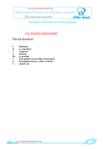 Anatomie Humaine et Embryologique Les muscles masticateurs Plan du document: