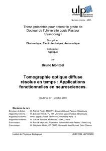 Tomographie optique diffuse résolue en temps : Applications fonctionnelles en neurosciences.