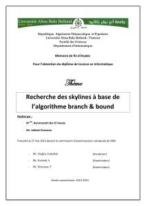 Recherche-des-skyline-a-base- de-lalgorithme- branche-and-bound .pdf