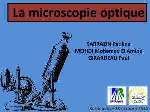 La microscopie optique SARRAZIN Pauline MEHIDI Mohamed El Amine GIRARDEAU Paul