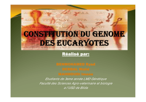 constitution du genome expo6
