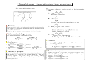 fiche cours forme indet10 11