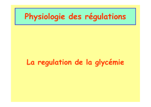 Physiologie des régulations  La regulation de la glycémie