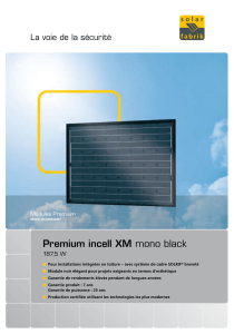 Premium incell XM La voie de la sécurité 187,5 W Modules Premium