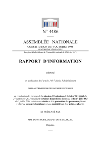 N° 4486 ASSEMBLÉE   NATIONALE  RAPPORT  D’INFORMATION