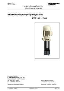 BF5500 Instructions d’emploi  BRINKMANN pompes plongeantes