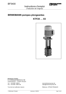 BF5400 Instructions d’emploi  BRINKMANN pompes plongeantes