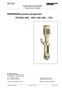 BF3020 Instructions d’emploi  BRINKMANN pompes plongeantes