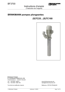 BF3700 Instructions d’emploi  BRINKMANN pompes plongeantes