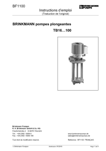 BF1100 Instructions d’emploi  BRINKMANN pompes plongeantes