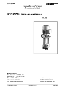 BF1800 Instructions d’emploi  BRINKMANN pompes plongeantes