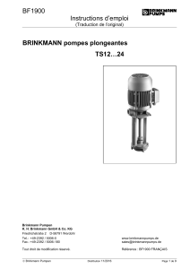 BF1900 Instructions d’emploi  BRINKMANN pompes plongeantes