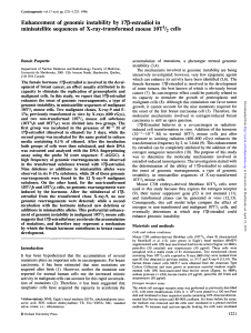 Enhancement of genomic instability by 17^-estradiol in