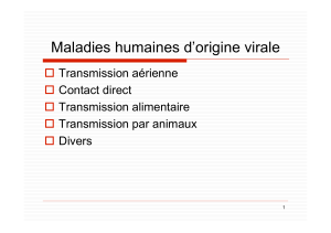 Maladies humaines d’origine virale  Transmission aérienne Contact direct