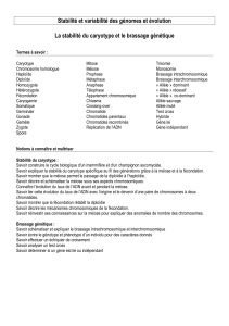 fiche_revision_stabilite_brassage.pdf (40.51 KB)